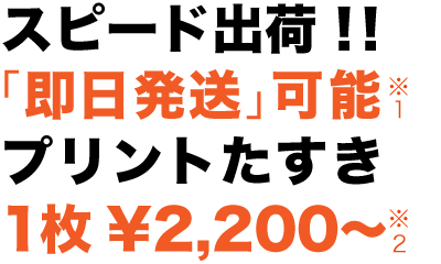 スピード出荷！！　即日発送商品あり※1　１枚￥2,200〜※2